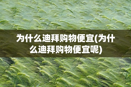 为什么迪拜购物便宜(为什么迪拜购物便宜呢)
