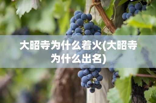 大昭寺为什么着火(大昭寺为什么出名)
