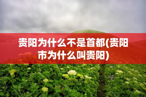 贵阳为什么不是首都(贵阳市为什么叫贵阳)