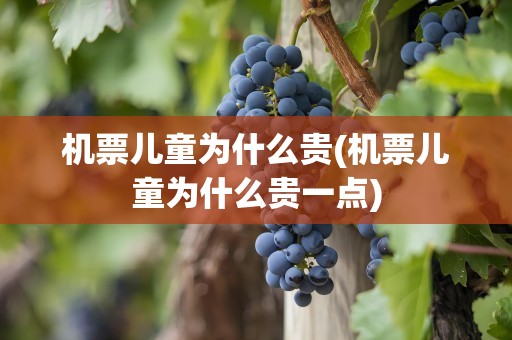 机票儿童为什么贵(机票儿童为什么贵一点)
