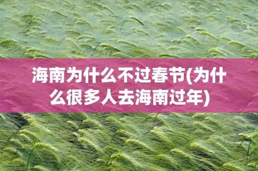 海南为什么不过春节(为什么很多人去海南过年)