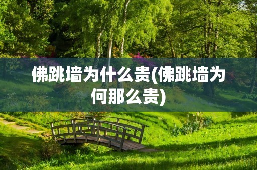 佛跳墙为什么贵(佛跳墙为何那么贵)