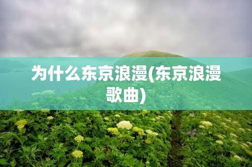 为什么东京浪漫(东京浪漫歌曲)