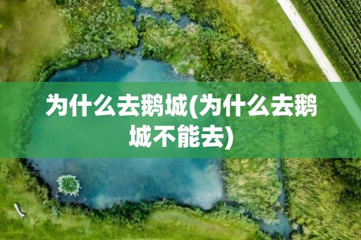 为什么去鹅城(为什么去鹅城不能去)
