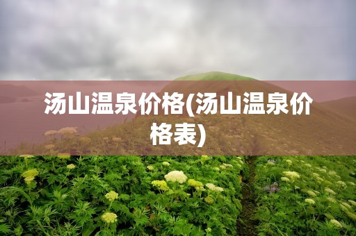 汤山温泉价格(汤山温泉价格表)