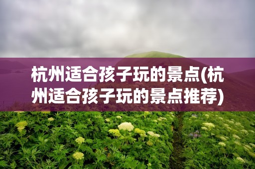 杭州适合孩子玩的景点(杭州适合孩子玩的景点推荐)