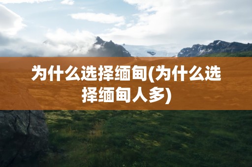 为什么选择缅甸(为什么选择缅甸人多)