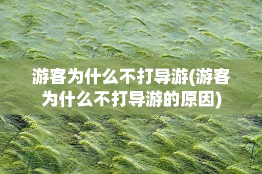 游客为什么不打导游(游客为什么不打导游的原因)