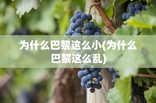 为什么巴黎这么小(为什么巴黎这么乱)