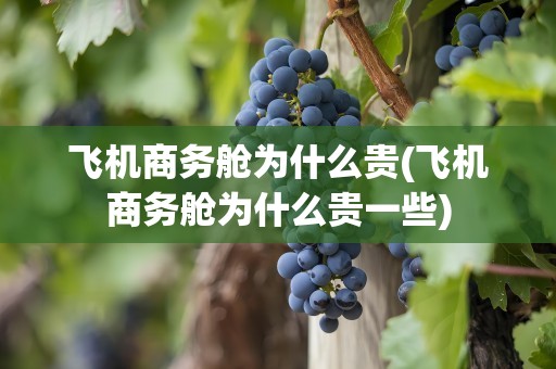 飞机商务舱为什么贵(飞机商务舱为什么贵一些)