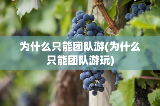 为什么只能团队游(为什么只能团队游玩)