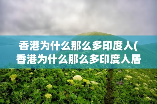 香港为什么那么多印度人(香港为什么那么多印度人居住)