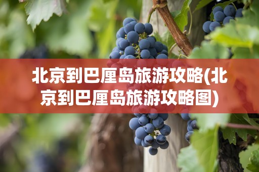 北京到巴厘岛旅游攻略(北京到巴厘岛旅游攻略图)