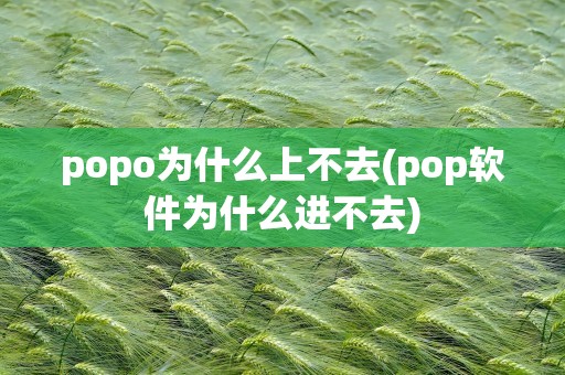 popo为什么上不去(pop软件为什么进不去)
