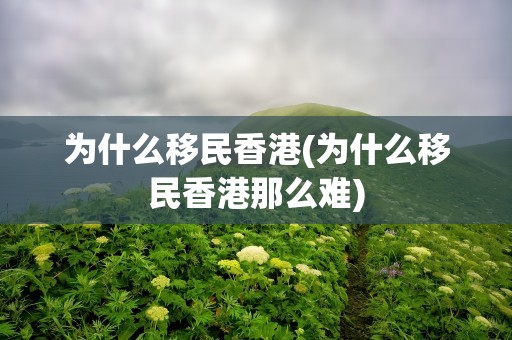 为什么移民香港(为什么移民香港那么难)