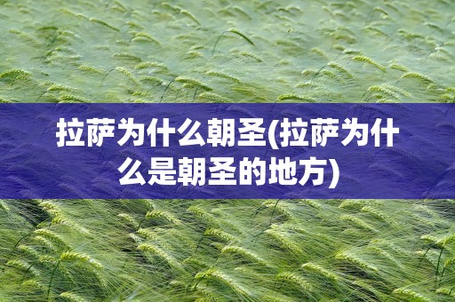 拉萨为什么朝圣(拉萨为什么是朝圣的地方)