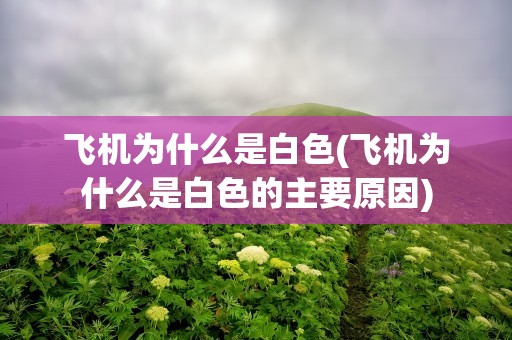 飞机为什么是白色(飞机为什么是白色的主要原因)