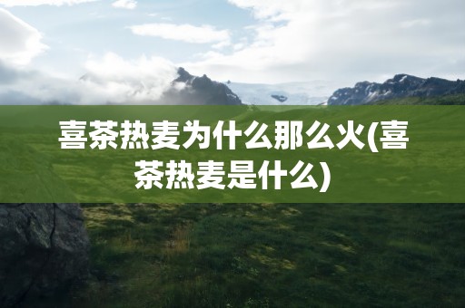喜茶热麦为什么那么火(喜茶热麦是什么)