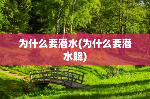 为什么要潜水(为什么要潜水艇)