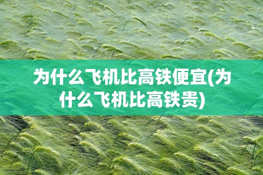 为什么飞机比高铁便宜(为什么飞机比高铁贵)