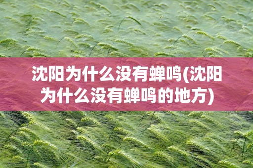 沈阳为什么没有蝉鸣(沈阳为什么没有蝉鸣的地方)