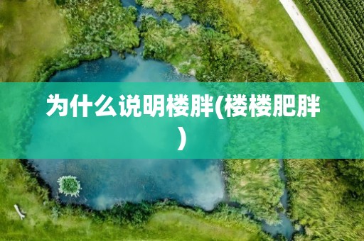 为什么说明楼胖(楼楼肥胖)