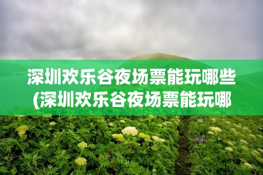 深圳欢乐谷夜场票能玩哪些(深圳欢乐谷夜场票能玩哪些项目)