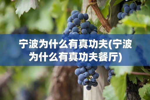 宁波为什么有真功夫(宁波为什么有真功夫餐厅)