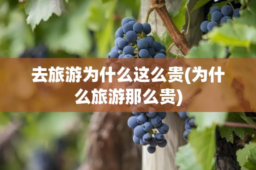 去旅游为什么这么贵(为什么旅游那么贵)
