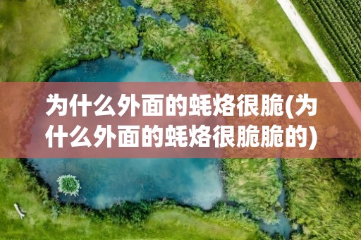 为什么外面的蚝烙很脆(为什么外面的蚝烙很脆脆的)