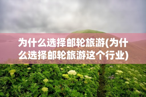 为什么选择邮轮旅游(为什么选择邮轮旅游这个行业)