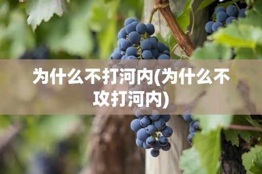为什么不打河内(为什么不攻打河内)
