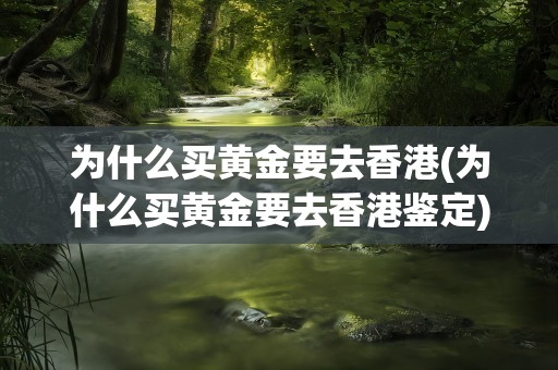 为什么买黄金要去香港(为什么买黄金要去香港鉴定)