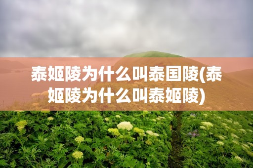 泰姬陵为什么叫泰国陵(泰姬陵为什么叫泰姬陵)