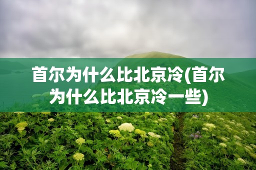 首尔为什么比北京冷(首尔为什么比北京冷一些)