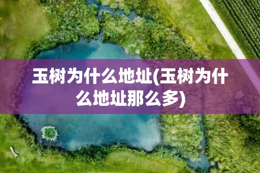 玉树为什么地址(玉树为什么地址那么多)
