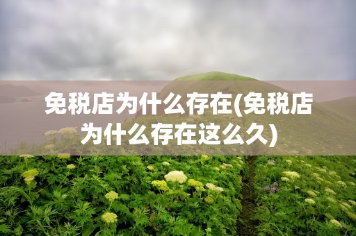 免税店为什么存在(免税店为什么存在这么久)