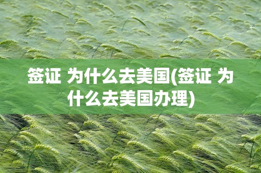 签证 为什么去美国(签证 为什么去美国办理)