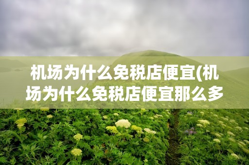 机场为什么免税店便宜(机场为什么免税店便宜那么多)
