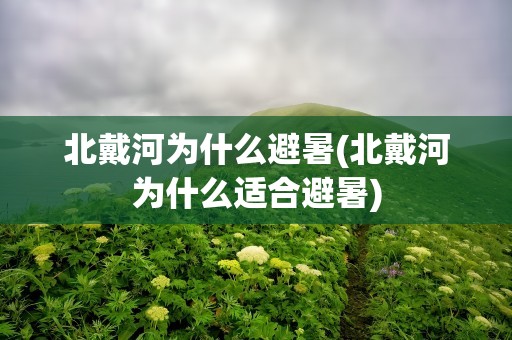 北戴河为什么避暑(北戴河为什么适合避暑)
