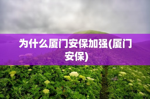 为什么厦门安保加强(厦门 安保)