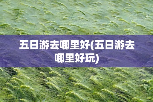 五日游去哪里好(五日游去哪里好玩)