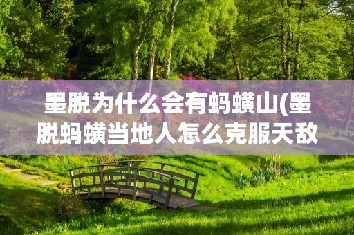 墨脱为什么会有蚂蟥山(墨脱蚂蟥当地人怎么克服天敌)