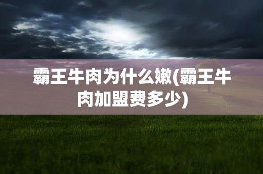 霸王牛肉为什么嫩(霸王牛肉加盟费多少)