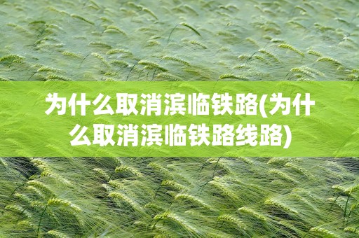 为什么取消滨临铁路(为什么取消滨临铁路线路)