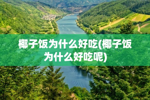 椰子饭为什么好吃(椰子饭为什么好吃呢)
