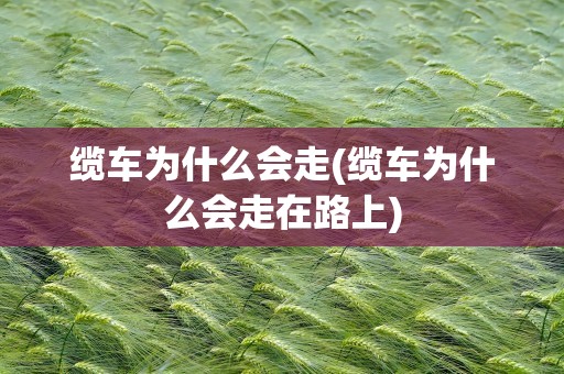 缆车为什么会走(缆车为什么会走在路上)