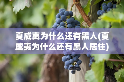 夏威夷为什么还有黑人(夏威夷为什么还有黑人居住)