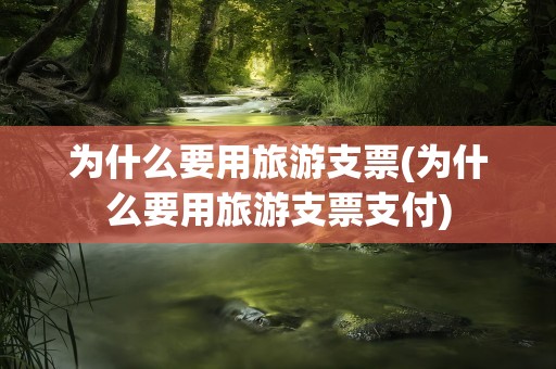 为什么要用旅游支票(为什么要用旅游支票支付)