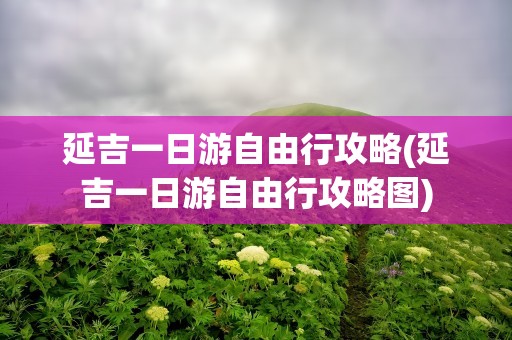 延吉一日游自由行攻略(延吉一日游自由行攻略图)